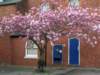 dscn6370_small.jpg