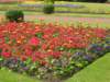 dscn6380_small.jpg