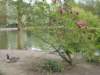 dscn6388_small.jpg