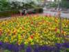 dscn6406_small.jpg