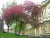 dscn6419_small.jpg