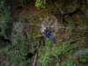 dscn0036_small.jpg